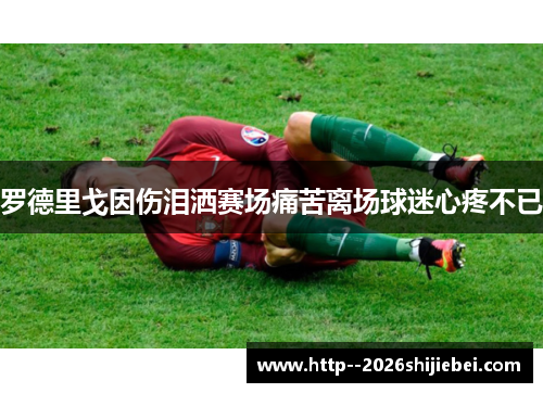 罗德里戈因伤泪洒赛场痛苦离场球迷心疼不已