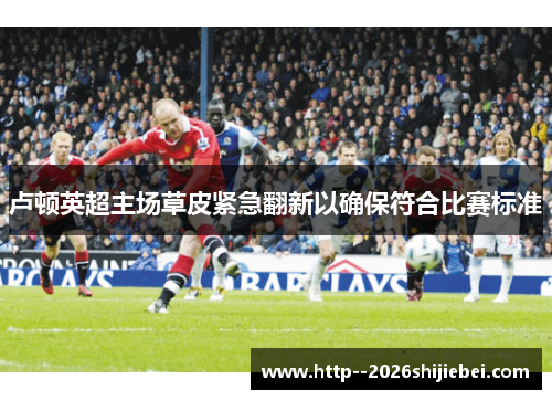 卢顿英超主场草皮紧急翻新以确保符合比赛标准 卢顿英超主场草皮紧急翻新以确保符合比赛标准